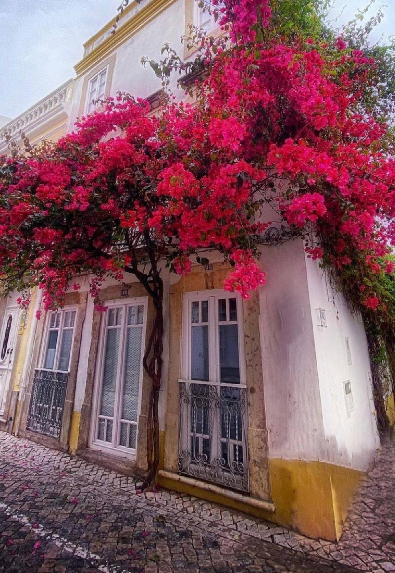 Stylish Studio Gilao In Taviras Historical Centre Buitenkant foto